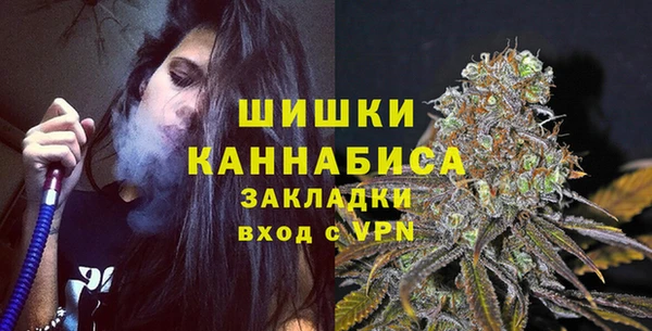 индика Липки