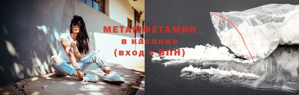 прущие грибы Лиски