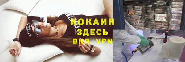 индика Липки