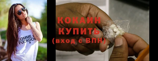индика Липки