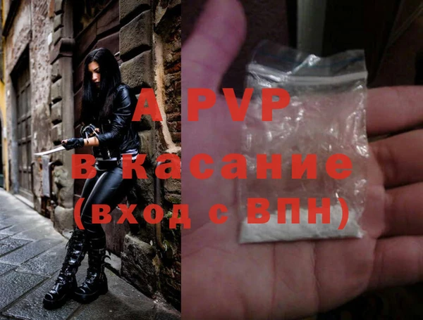 прущие грибы Лиски