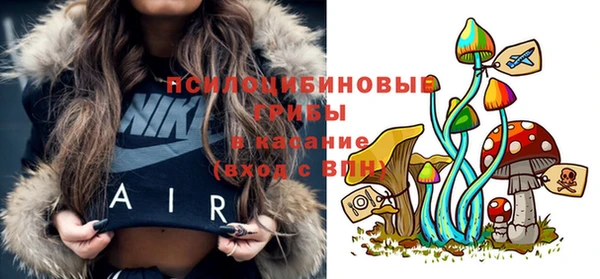 прущие грибы Лиски