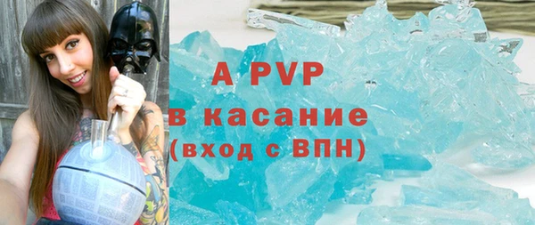 прущие грибы Лиски