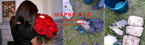 прущие грибы Лиски