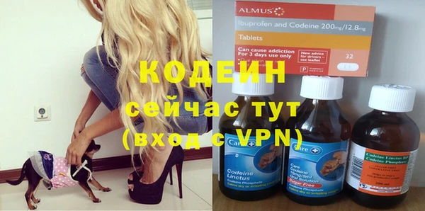 индика Липки