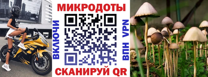 закладки  Феодосия  Галлюциногенные грибы Magic Shrooms 