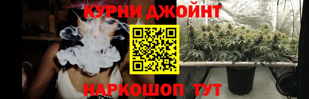 Конопля Bruce Banner  Канабис Ganja  Феодосия  Вход с VPN 